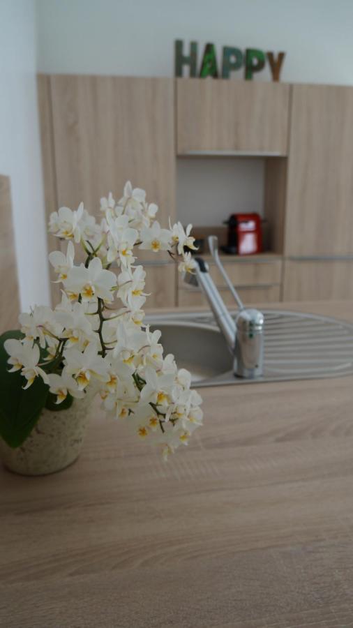 Les Palmiers - Vacation Home Saint-Xandre Buitenkant foto